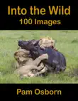Into The Wild - 100 Images sinopsis y comentarios