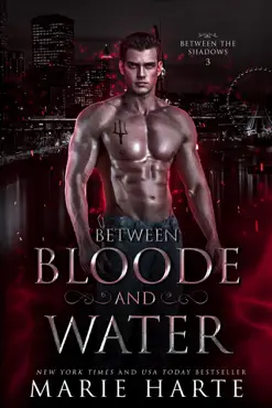 between bloode and water book cover image