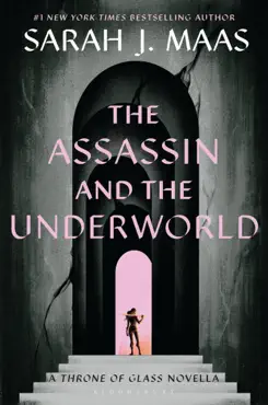 the assassin and the underworld book cover image