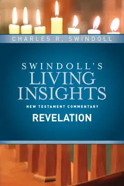 insights on revelation book cover image