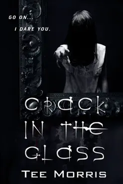 crack in the glass book cover image