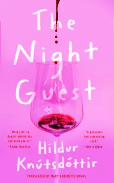 the night guest book cover image