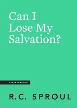 can i lose my salvation? book cover image