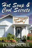 Hot Soup and Cool Secrets synopsis, comments