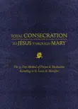 Total Consecration to Jesus through Mary synopsis, comments