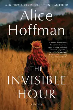 the invisible hour book cover image