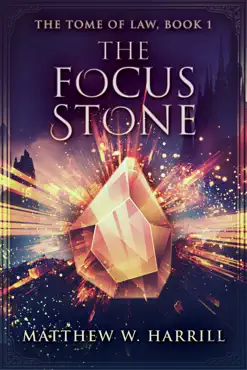 the focus stone book cover image