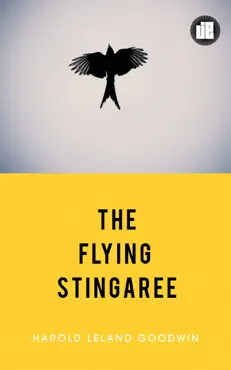 the flying stingaree book cover image