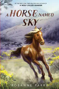 a horse named sky book cover image
