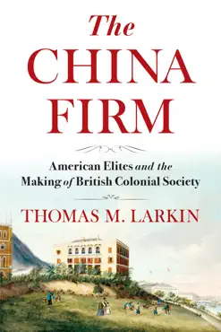the china firm book cover image