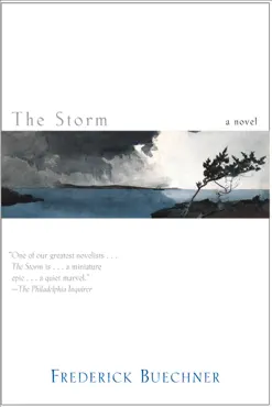 the storm book cover image