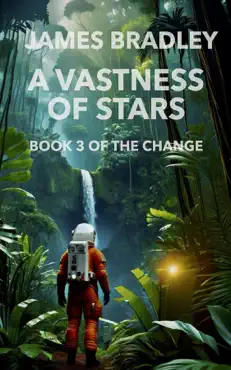 a vastness of stars book cover image