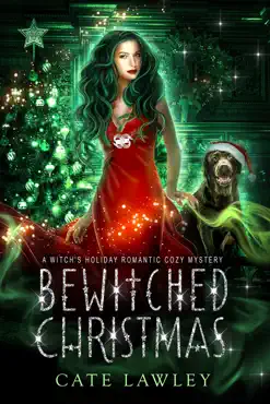 bewitched christmas book cover image