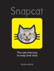 Snapcat synopsis, comments