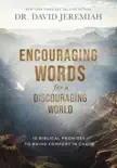 Encouraging Words for a Discouraging World sinopsis y comentarios
