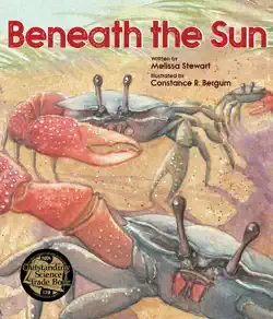 beneath the sun book cover image