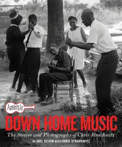 arhoolie records down home music book cover image