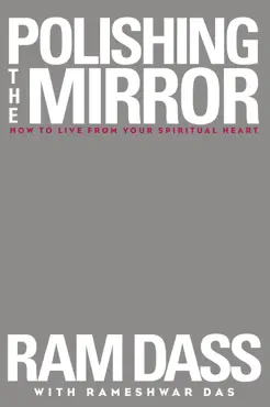 polishing the mirror book cover image