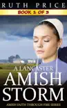 A Lancaster Amish Storm - Book 1 reviews