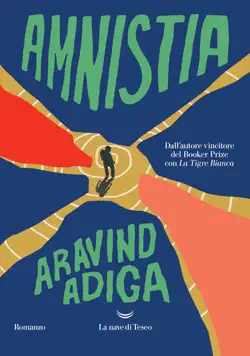 amnistia book cover image
