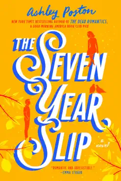 the seven year slip book cover image