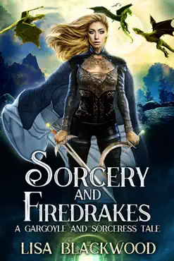 sorcery and firedrakes book cover image