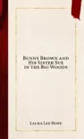 Bunny Brown and His Sister Sue in the Big Woods synopsis, comments