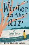 Winter in the Air synopsis, comments