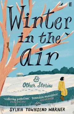 winter in the air book cover image