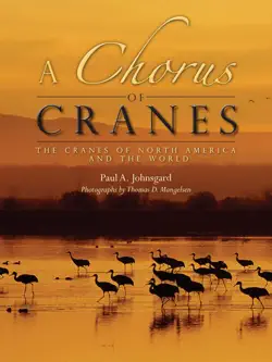 a chorus of cranes book cover image
