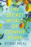 The Secret World of Connie Starr synopsis, comments