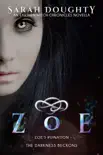 Zoe synopsis, comments