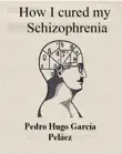 How I Cured My Schizophrenia sinopsis y comentarios