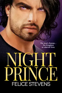 night prince book cover image