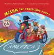 Misha the Travelling Puppy America synopsis, comments