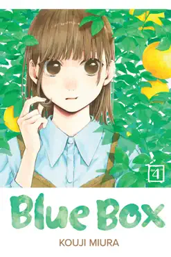 blue box, vol. 4 book cover image