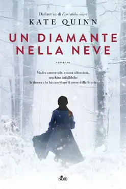 un diamante nella neve book cover image