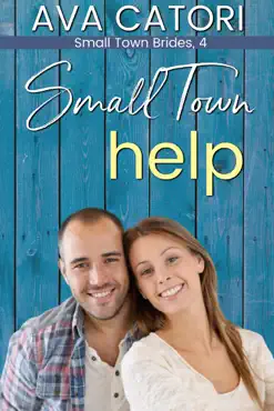 small town help book cover image