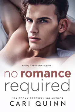 no romance required book cover image