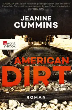 american dirt book cover image