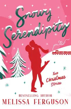 snowy serendipity book cover image