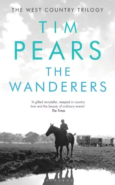 the wanderers imagen de la portada del libro