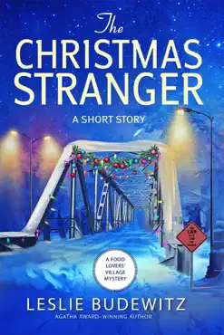 the christmas stranger book cover image