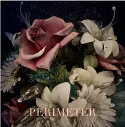 perimeter book cover image
