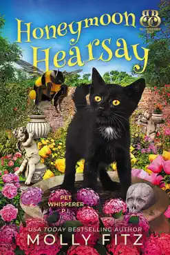 honeymoon hearsay book cover image