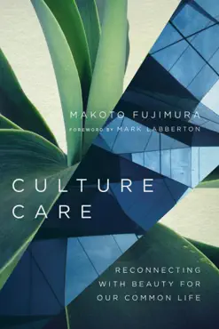 culture care book cover image