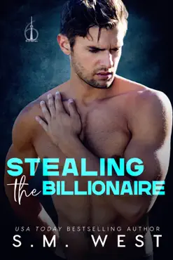 stealing the billionaire book cover image