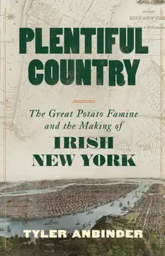 plentiful country imagen de la portada del libro