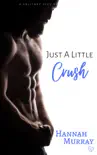Just A Little Crush synopsis, comments
