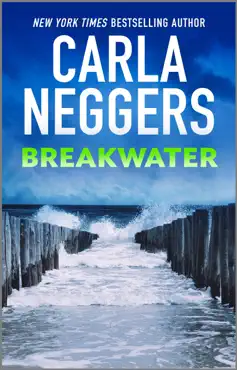 breakwater book cover image